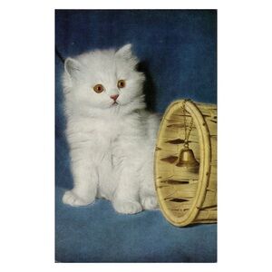 Alfred Mainzer White Kitten Postcard - #821